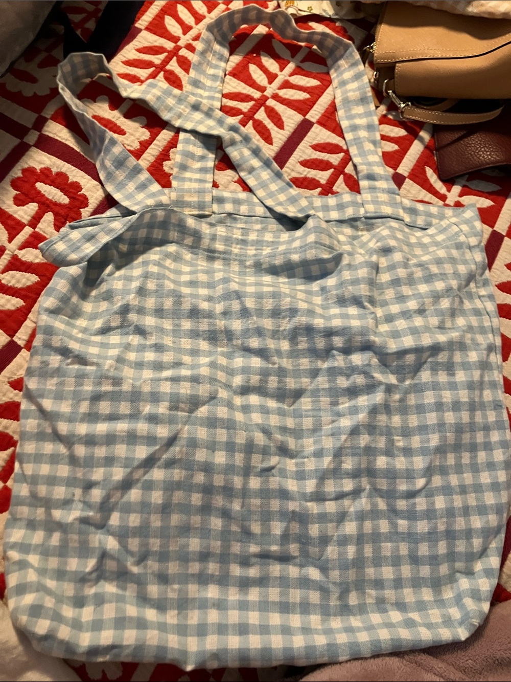 Light Blue Gingham Tote Bag with Shoulder Straps